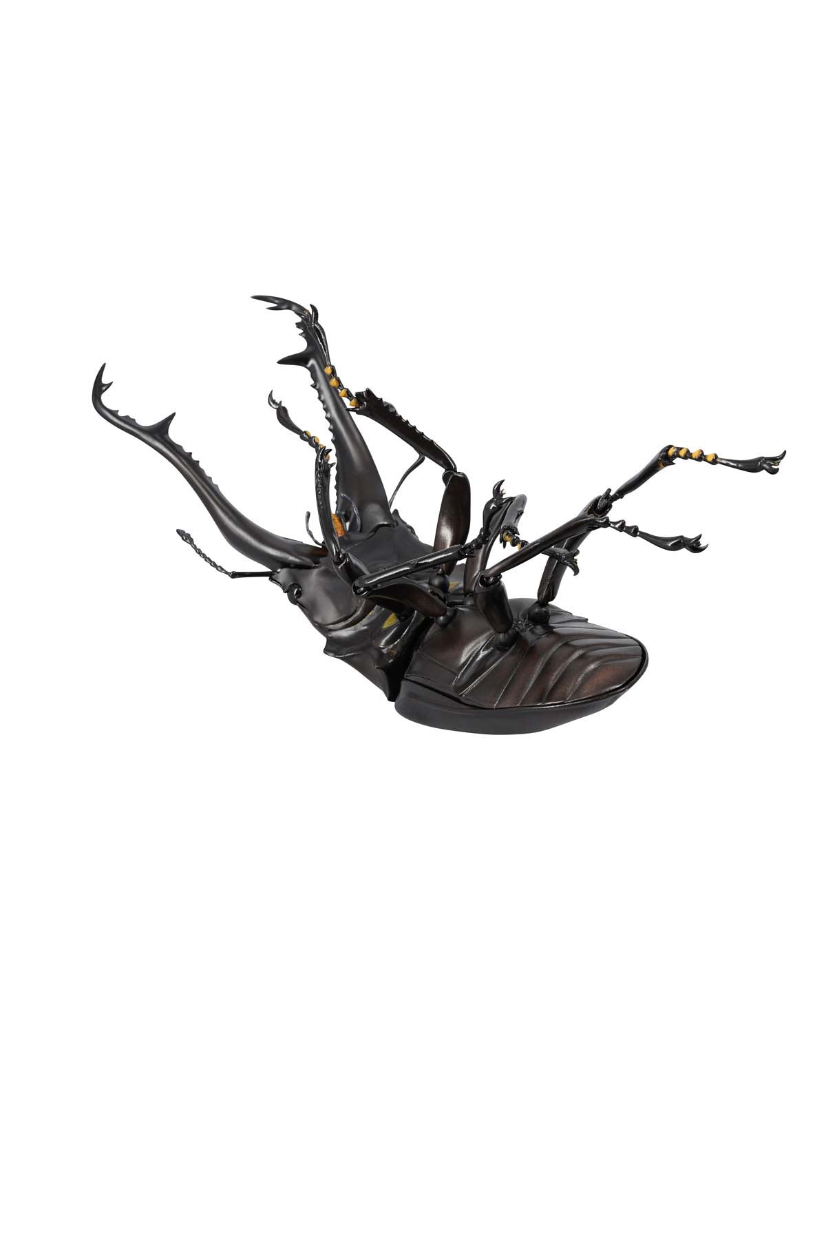 (PO) REVO GEO Prosopocoilus Giraffa - Giraffe Stag Beetle
