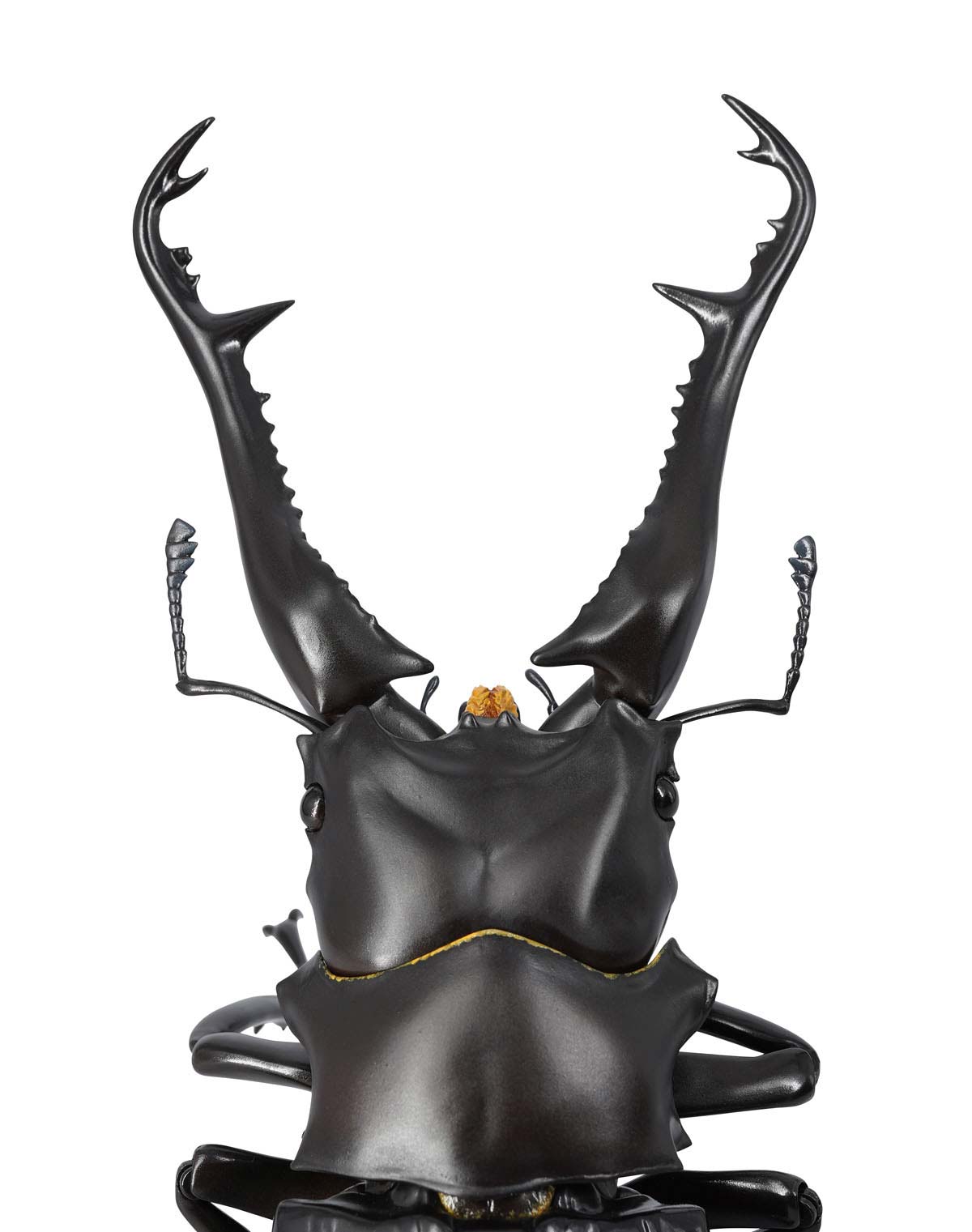 (PO) REVO GEO Prosopocoilus Giraffa - Giraffe Stag Beetle