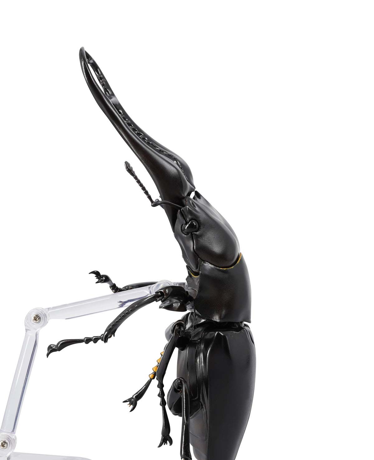 (PO) REVO GEO Prosopocoilus Giraffa - Giraffe Stag Beetle