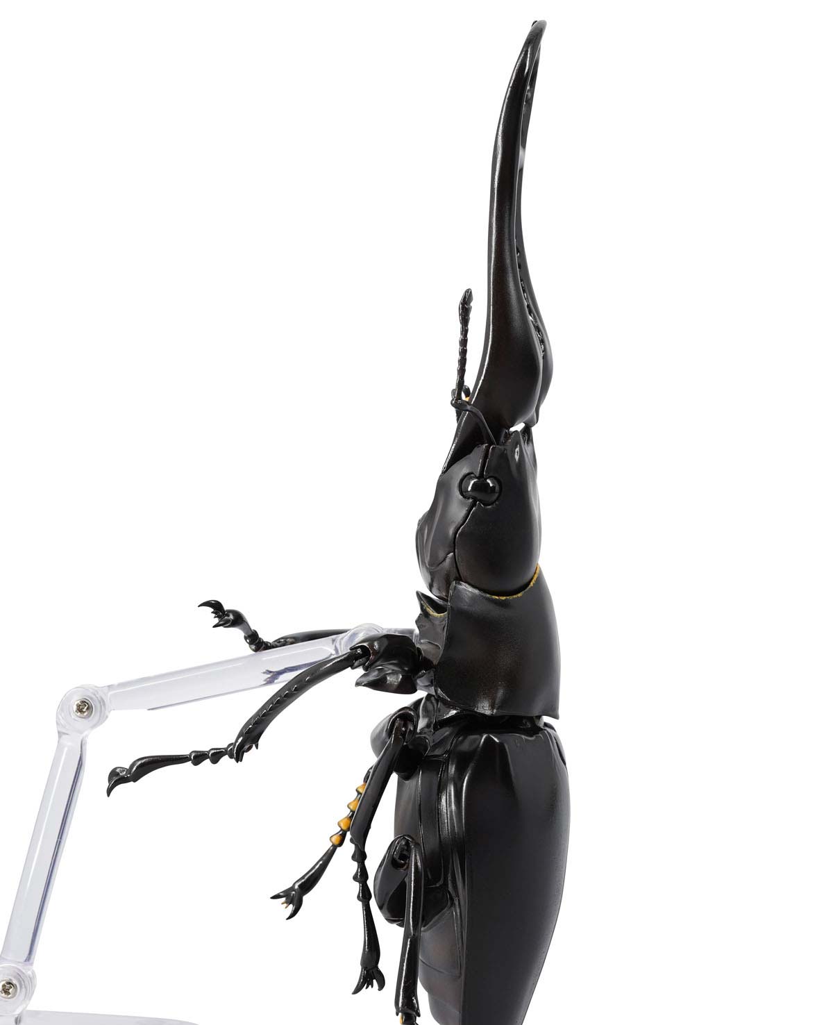 (PO) REVO GEO Prosopocoilus Giraffa - Giraffe Stag Beetle
