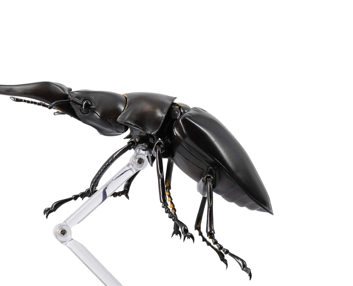 (PO) REVO GEO Prosopocoilus Giraffa - Giraffe Stag Beetle