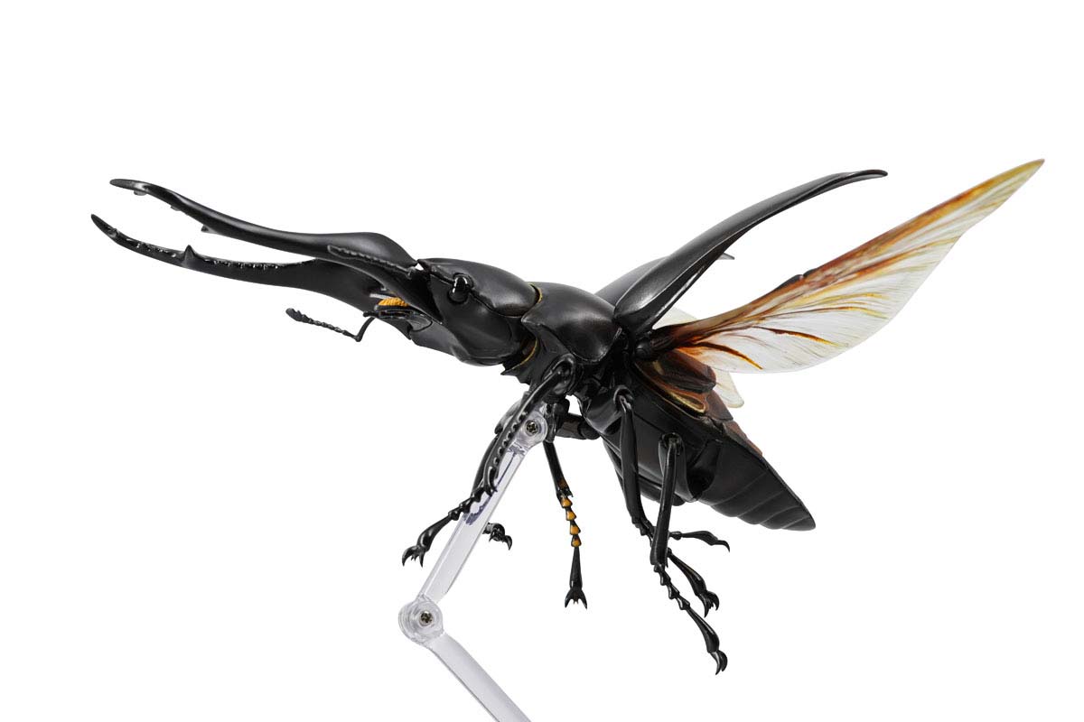 (PO) REVO GEO Prosopocoilus Giraffa - Giraffe Stag Beetle