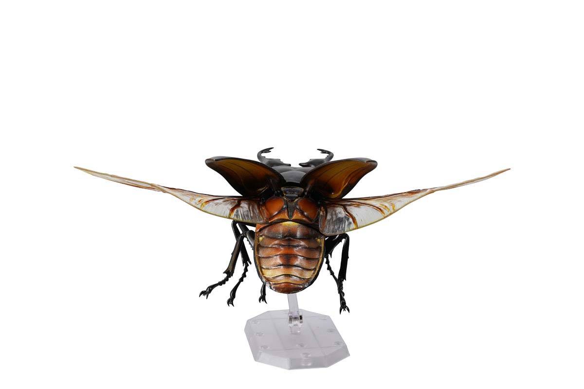 (PO) REVO GEO Prosopocoilus Giraffa - Giraffe Stag Beetle
