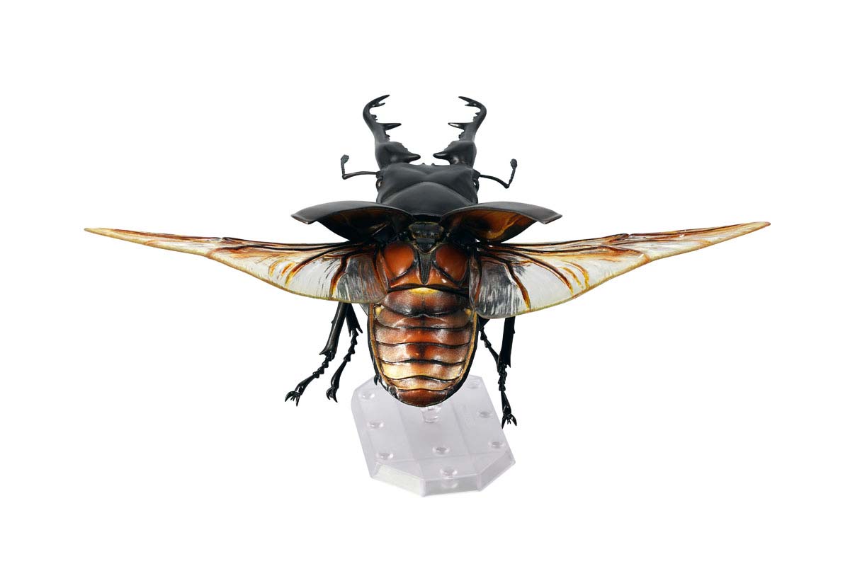 (PO) REVO GEO Prosopocoilus Giraffa - Giraffe Stag Beetle