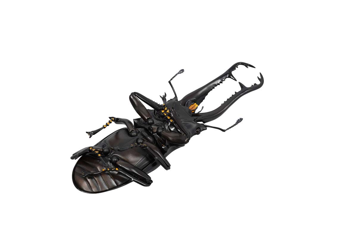 (PO) REVO GEO Prosopocoilus Giraffa - Giraffe Stag Beetle
