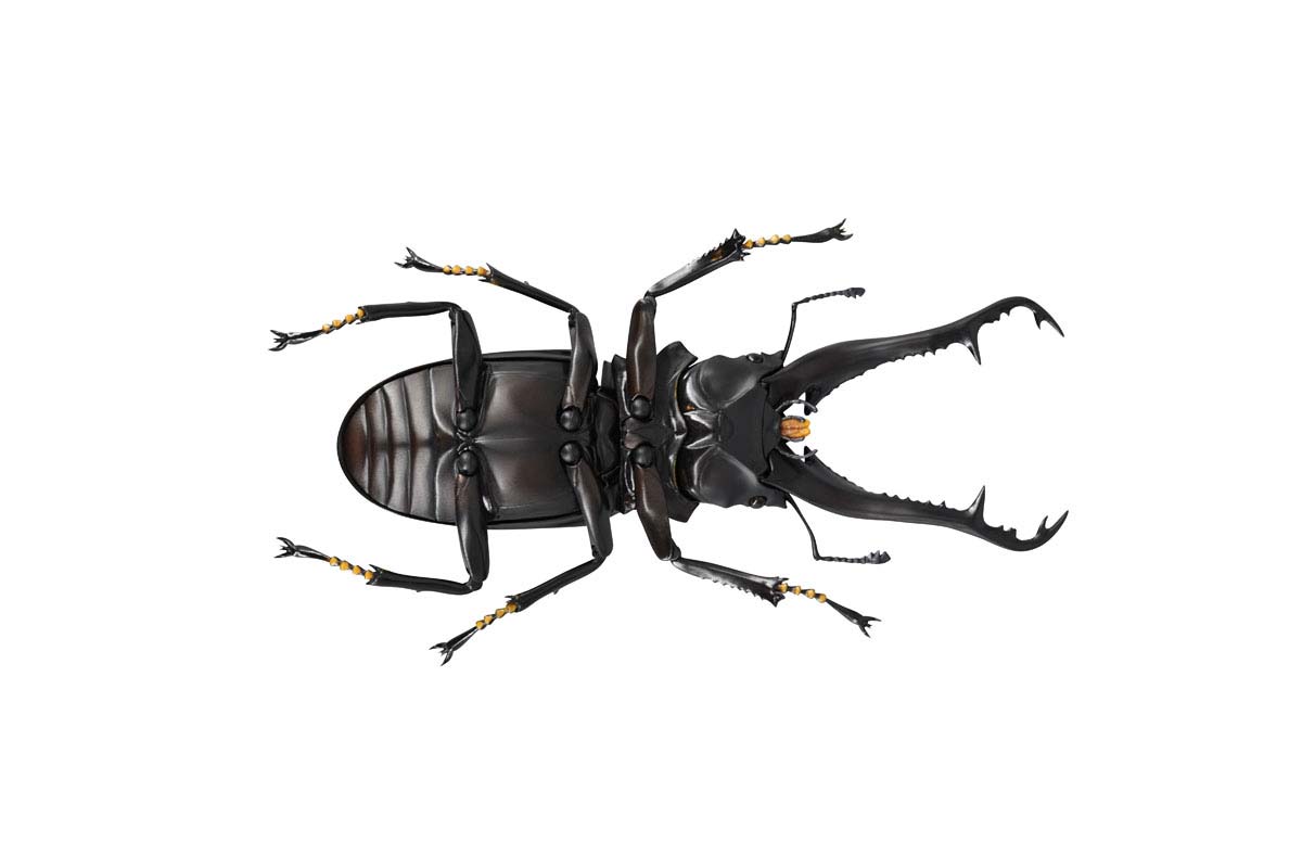 (PO) REVO GEO Prosopocoilus Giraffa - Giraffe Stag Beetle
