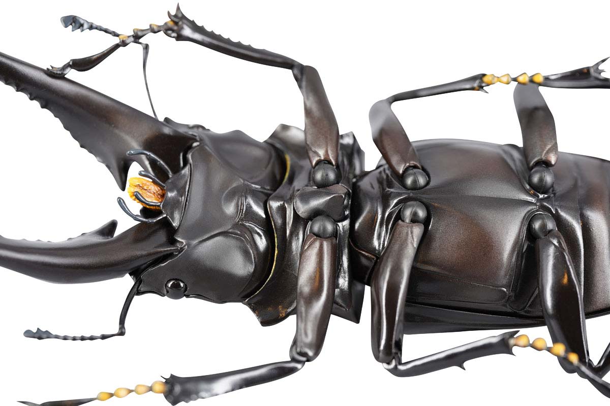 (PO) REVO GEO Prosopocoilus Giraffa - Giraffe Stag Beetle
