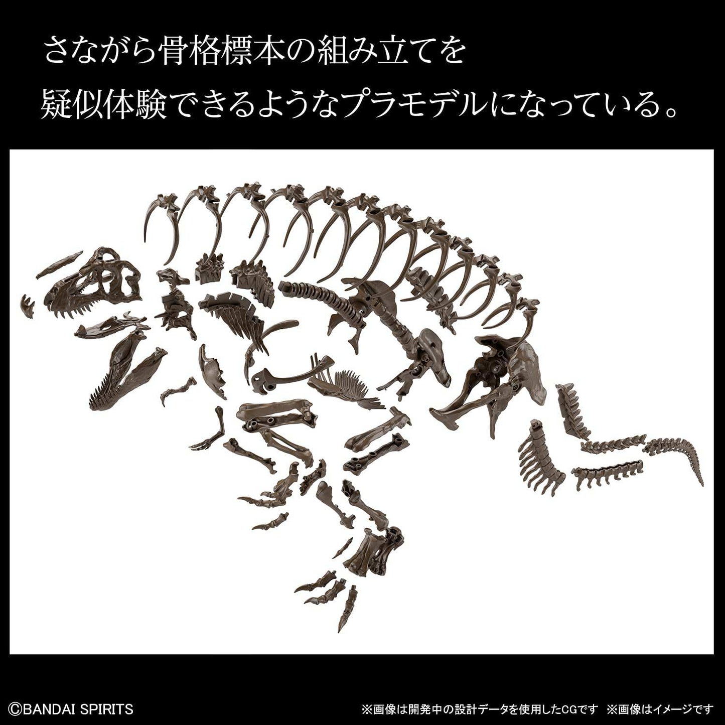 (PO) Imaginary Skeleton Dinosaur - Tyrannosaurus