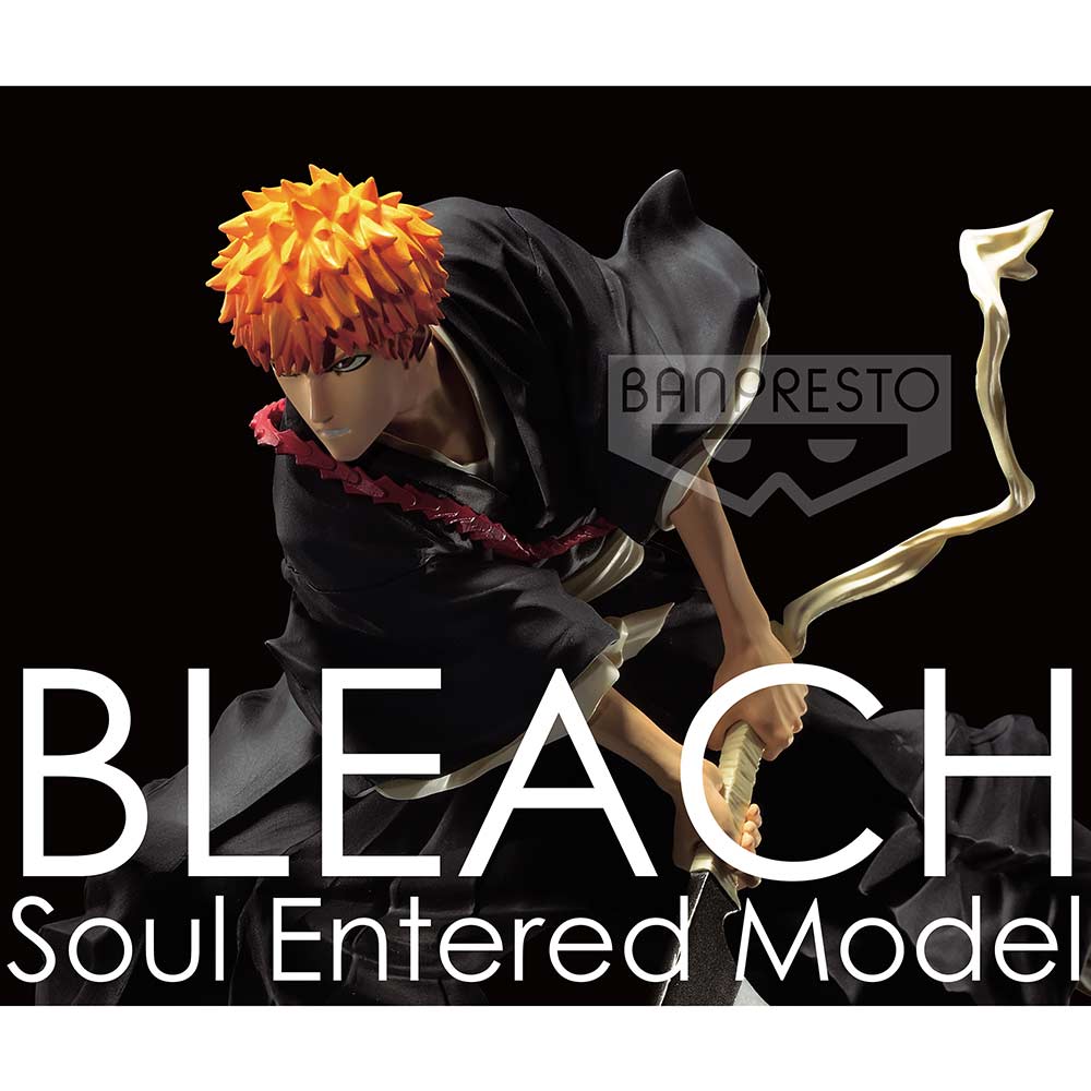 (PO) Bleach Soul Entered Model - Ichigo Kurosaki II